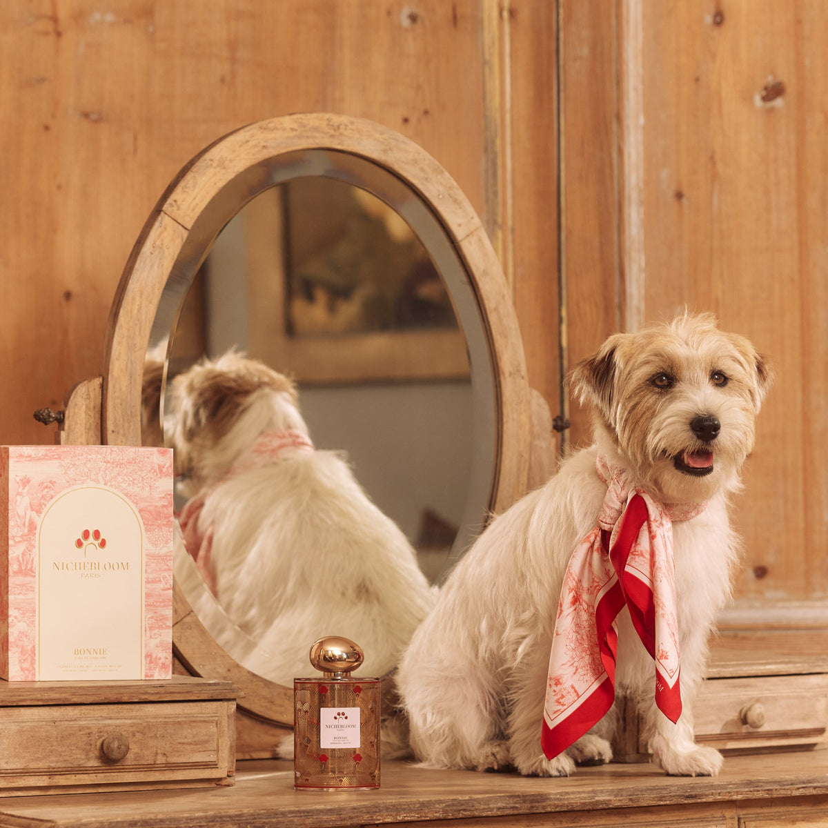 Deux petits chiens devant une coiffeuse, flacon Bonnie à côté