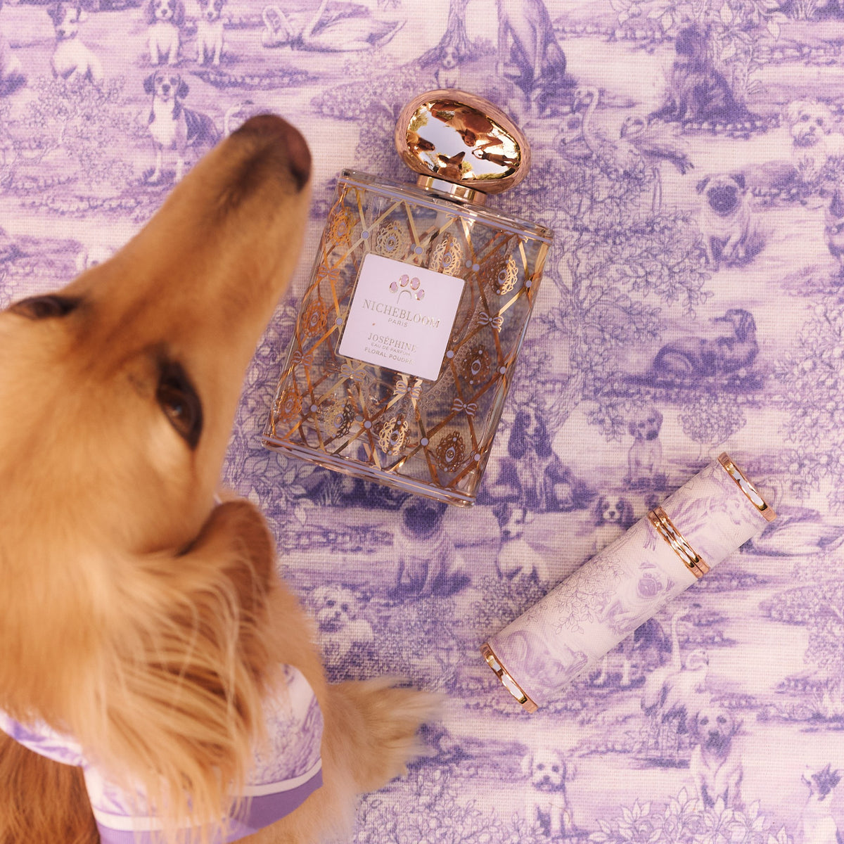 Chien près du flacon et de l'étui Joséphine sur une toile de Jouy lilas