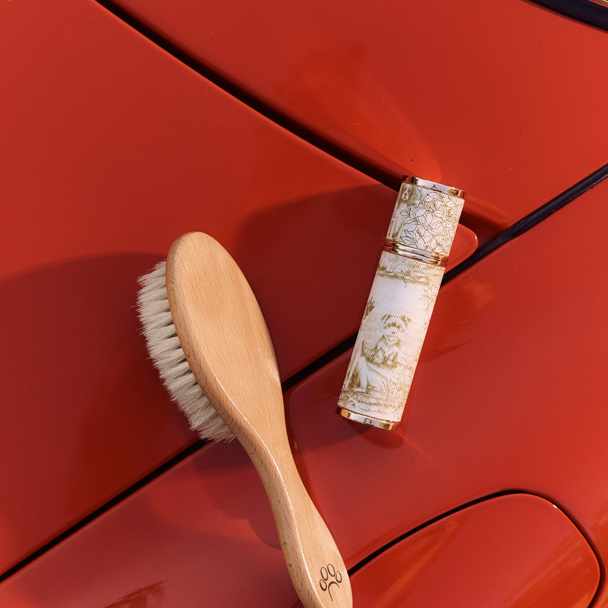 Rosalie case and brush (not included) on a red leather seat